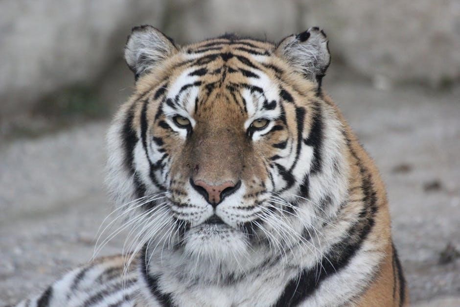 waking the tiger pdf
